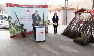 Dağdere’de Çiftçilere %75 Hibeli Ceviz Fidanı Dağıtıldı