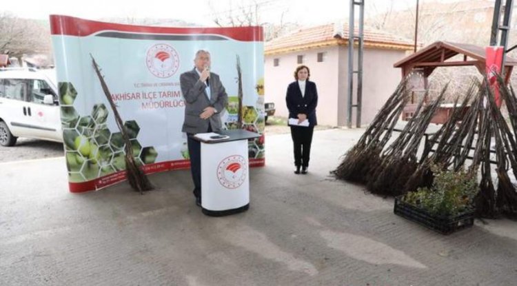 Dağdere’de Çiftçilere %75 Hibeli Ceviz Fidanı Dağıtıldı