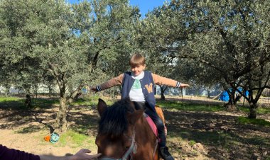 Dıgıdık ve Tıfıllar Zeytin Ormanında