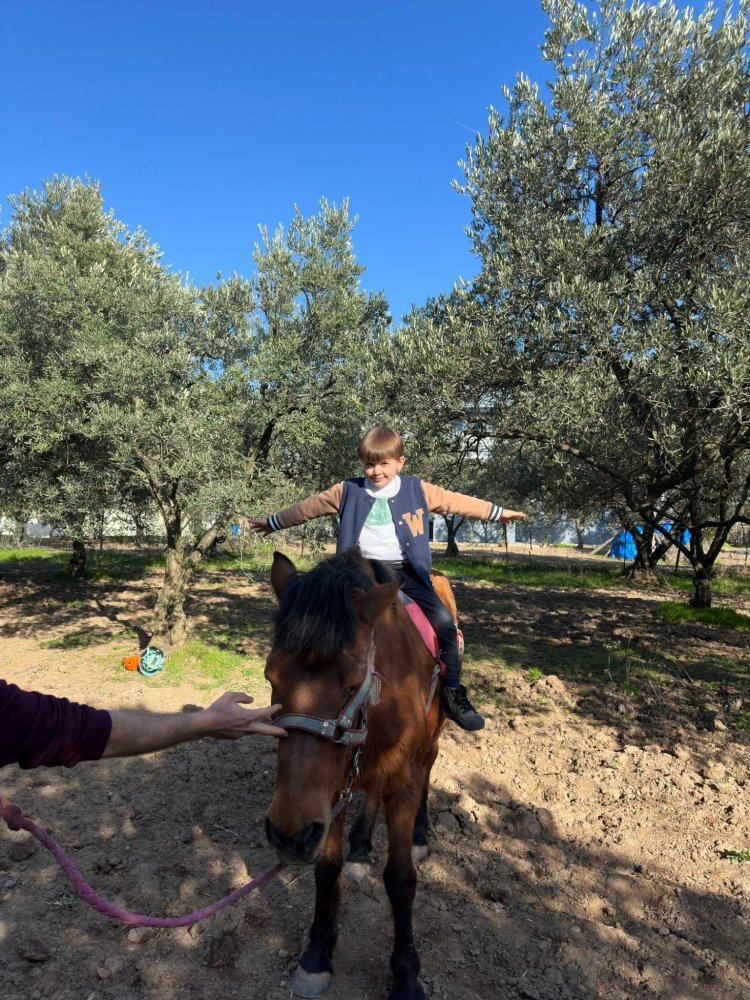 Dıgıdık ve Tıfıllar Zeytin Ormanında