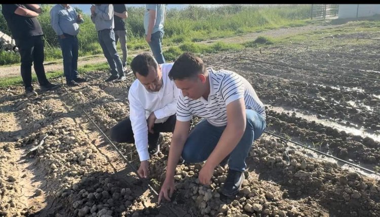 DOLU YAĞIŞINDAN ETKİLENEN ÜZÜM ÇİFTÇİSİ CHP’Lİ BAŞEVİRGEN’E DERT YANDI: “ÇİFTÇİNİN İŞİ ALLAH’A KALDI”