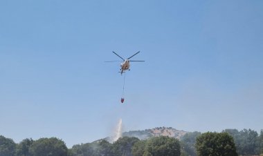 Ormanlık Alanı Tehdit Eden Yangına Acil Müdahale