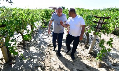 CHP’li Bakırlıoğlu: “Tarım sigortası yaptıran da mağdur, yaptırmayan da...”