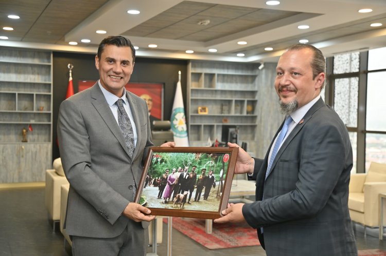Sokak Hayvanları İçin Hayvan Hastanesi ve Vetbüs Projeleri Geliyor