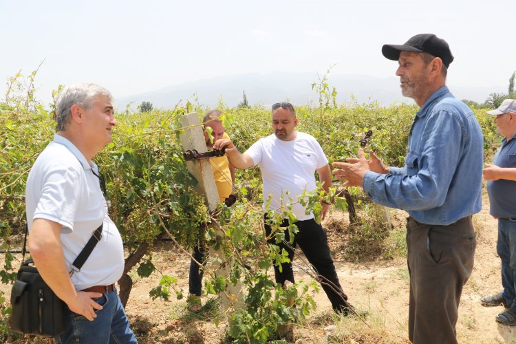 Büyükşehir hasar gören üreticilere destek sağlayacak