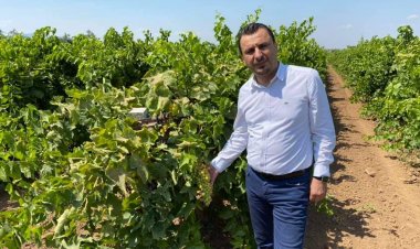 CHP’Lİ BAŞEVİRGEN’DEN TMO’YA: “KURU ÜZÜM ALIM FİYATINI AÇIKLA”