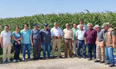Süt Sığırı İşletmeleri İçin Heyecan Veren Denemenin Tarla Günü Yapıldı