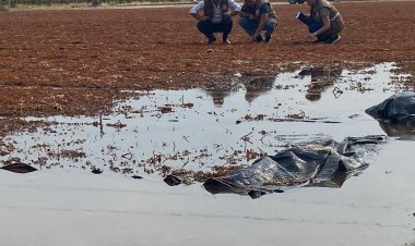 İlçe Tarım Müdürlüğü Zarar Gören Ürünleri İnceleyip Tespit Ediyor