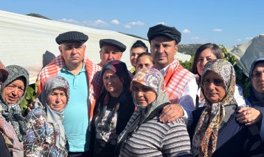 CHP MANİSA MİLLETVEKİLLERİ SORDU: "TMO NEREDE?”