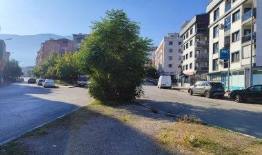 Büyükşehir’den Yeşil Alanlarda Bakım Çalışması