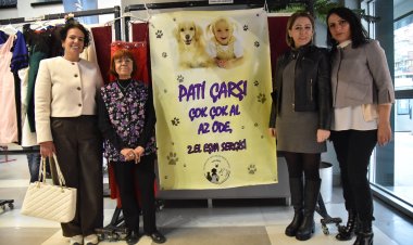 Pati Çarşı Kimsesiz Sokak Hayvanlarının Hayatına Umut Oluyor