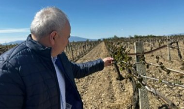 ”Çiftçinin borçları hemen yapılandırılmalı ve yeniden üretebilmeleri için hibe ödemesi ya da faizsiz, uzun vadeli kredi