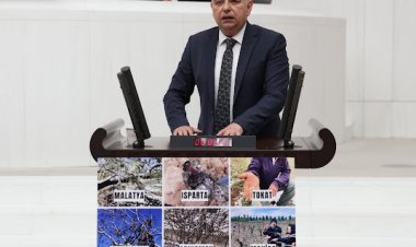 “Çiftçi devleti yanında görmek istiyor”