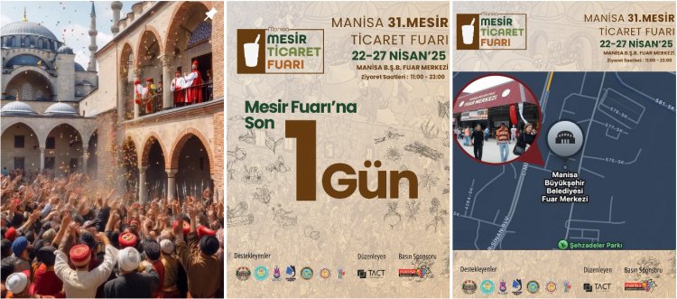 Türkiye Dil ve Edebiyat Derneği Yazarlarından Mesir Festivalinde imza günü.