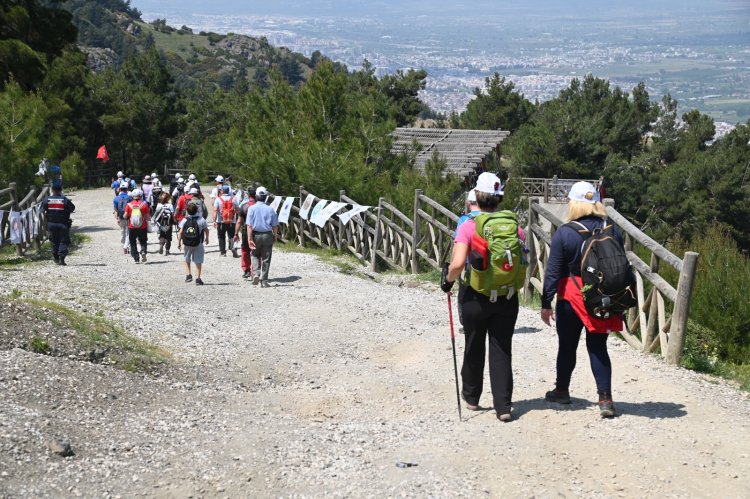 Mesir Festivali’nde Her Yerde Spor