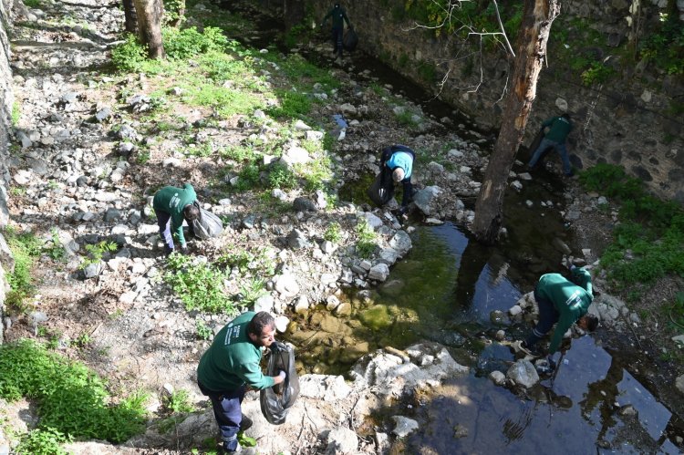 Çaybaşı Deresi’nde temizlik ve ağaçlandırma