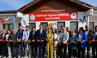 Manisa’da Sokak Hayvanları İçin Hayvan Yaşam Merkezi Hizmete Açıldı