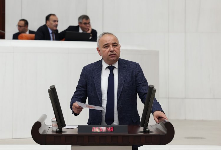 CHP'li Bakırlıoğlu: “Zeytinyağı İhracat Yasağıyla Üreticiyi Mahvettiniz”