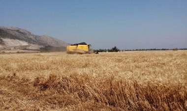 Biçerdöverle Hasat Konusunda İlçe Tarım’dan Önemli Uyarı!