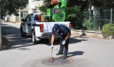 Büyükşehir’den Keneye ve Haşerelere Karşı 7/24 Müdahale