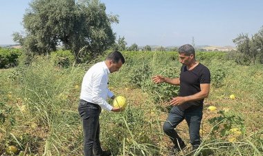 ÜRETİMİ BIRAKMA NOKTASINA GELEN ÇİFTÇİ, CHP’Lİ BAŞEVİRGEN’E İSYAN ETTİ:  “BU DÜZEN ÇİFTÇİYİ BİTİRİR”