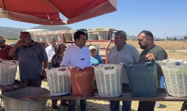 CHP’Lİ BAŞEVİRGEN’DEN TMO’YA VE BAKANLIĞA ÇAĞRI: “TMO ÜZÜM TABAN FİYATINI AÇIKLASIN, ACİL ALIMA BAŞLASIN, ÇİFTÇİ RAHAT NEFES ALSIN”