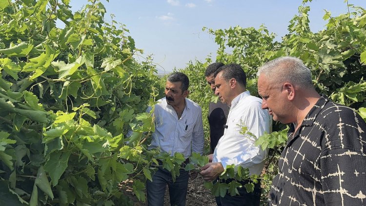 CHP’Lİ BAŞEVİRGEN’DEN TMO’YA FİYAT AÇIKLAMASI ÇAĞRISI