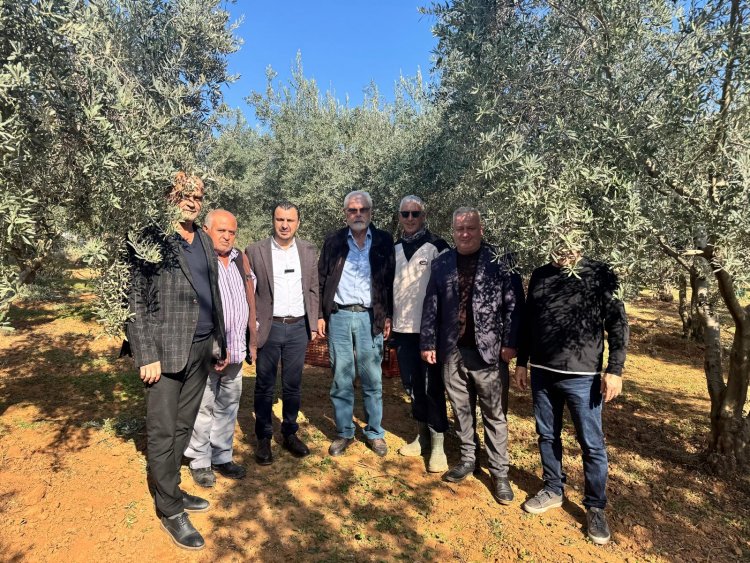 ZEYTİN ÜRETİCİLERİ CHP’Lİ BAŞEVİRGEN’E DERT YANDI: “ZEYTİN FİYATI 2023 İLE AYNI AMA GİRDİ MALİYETLERİ 2-3 MİSLİNE YÜKSELDİ BU KOŞULLARDA PARA KAZANMAMIZIN MÜMKÜNATI YOK”