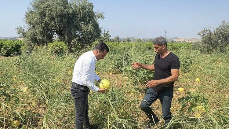 ÜRETİMİ BIRAKMA NOKTASINA GELEN ÇİFTÇİ, CHP’Lİ BAŞEVİRGEN’E İSYAN ETTİ: “BU DÜZEN ÇİFTÇİYİ BİTİRİR”