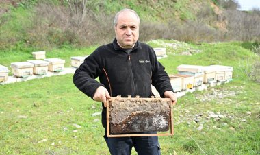 Büyükşehir’den Sel Mağduru Arıcıya Kovan Desteği