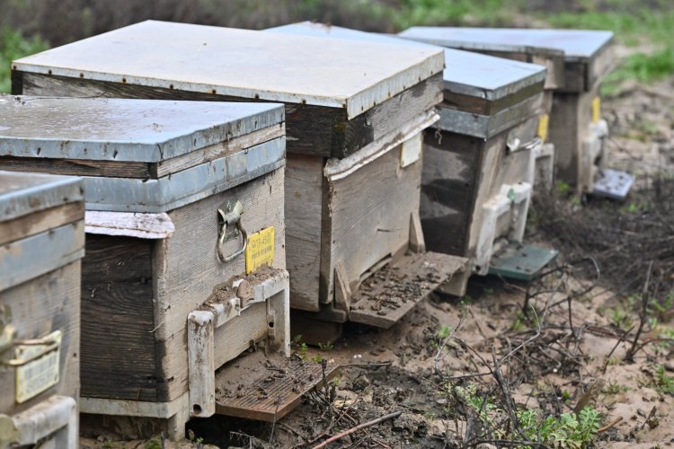 Büyükşehir, Selden Etkilenen Arıcıyı Yalnız Bırakmadı