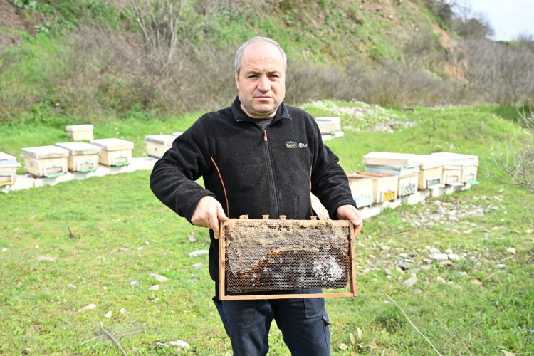 Büyükşehir’den Sel Mağduru Arıcıya Kovan Desteği